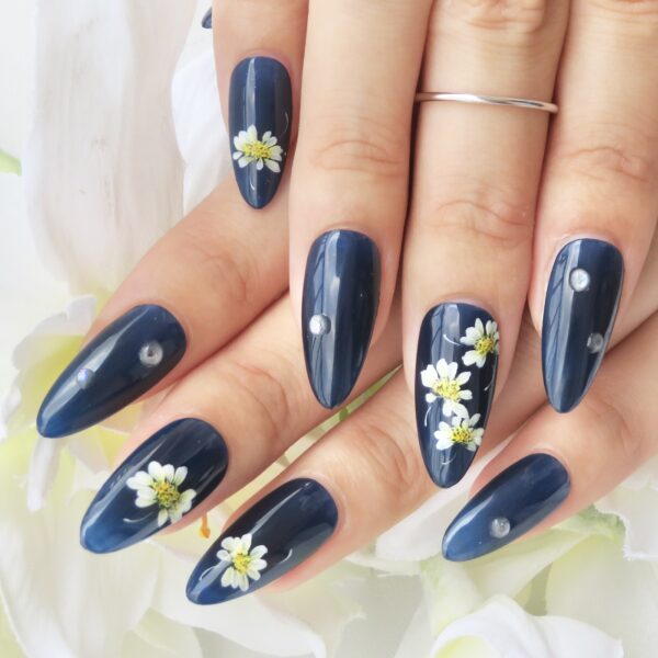 夜に咲くデイジー（Nocturnal Daisy）